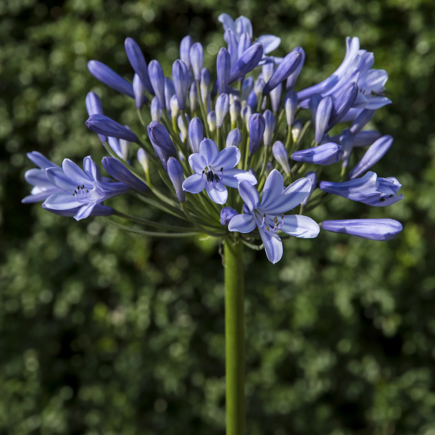 Produktbild 2