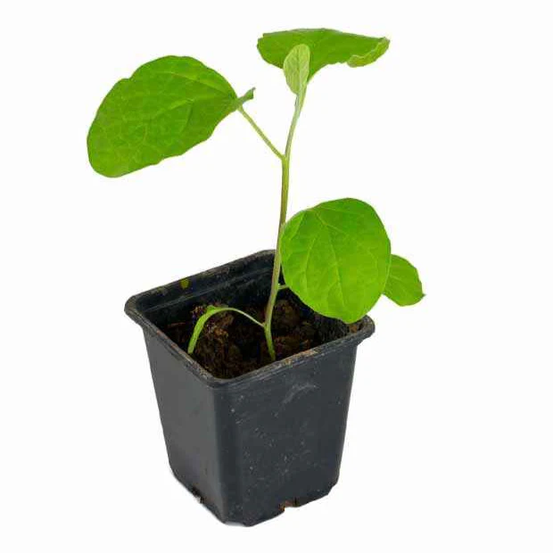 Produktbild 3