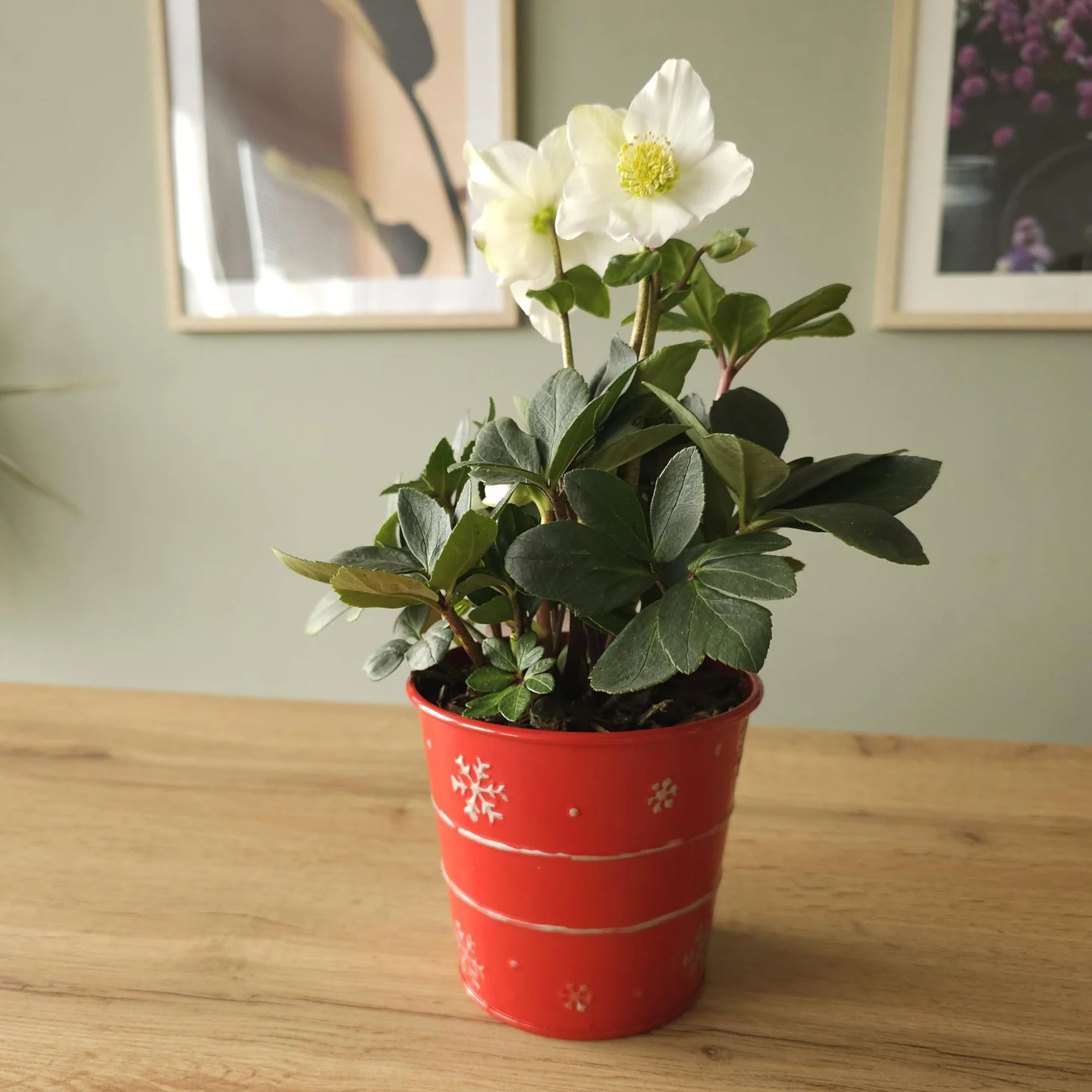 Produktbild 3
