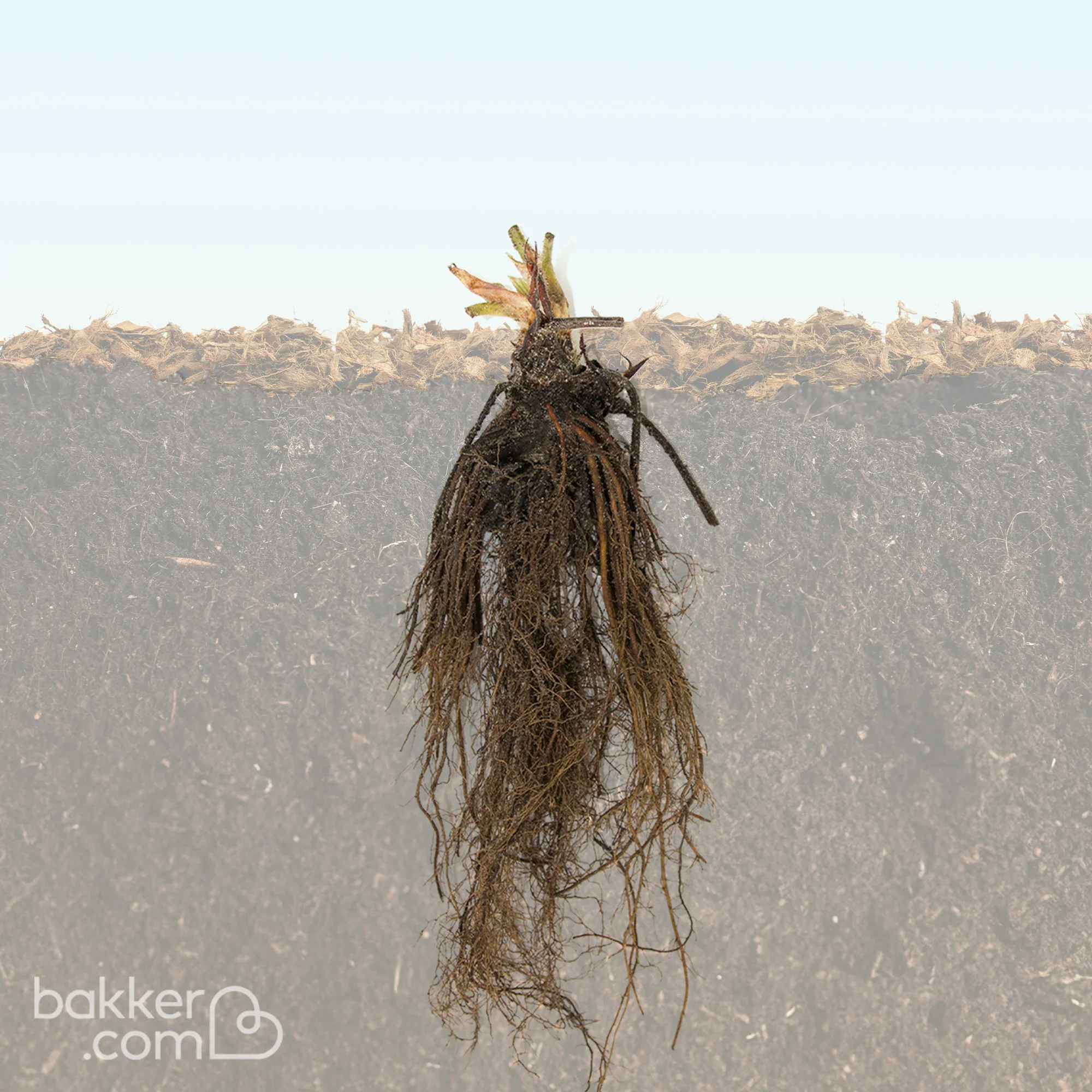 Produktbild 3
