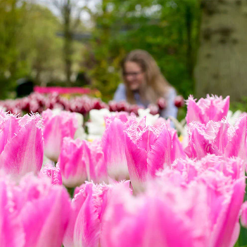 Produktbild 2