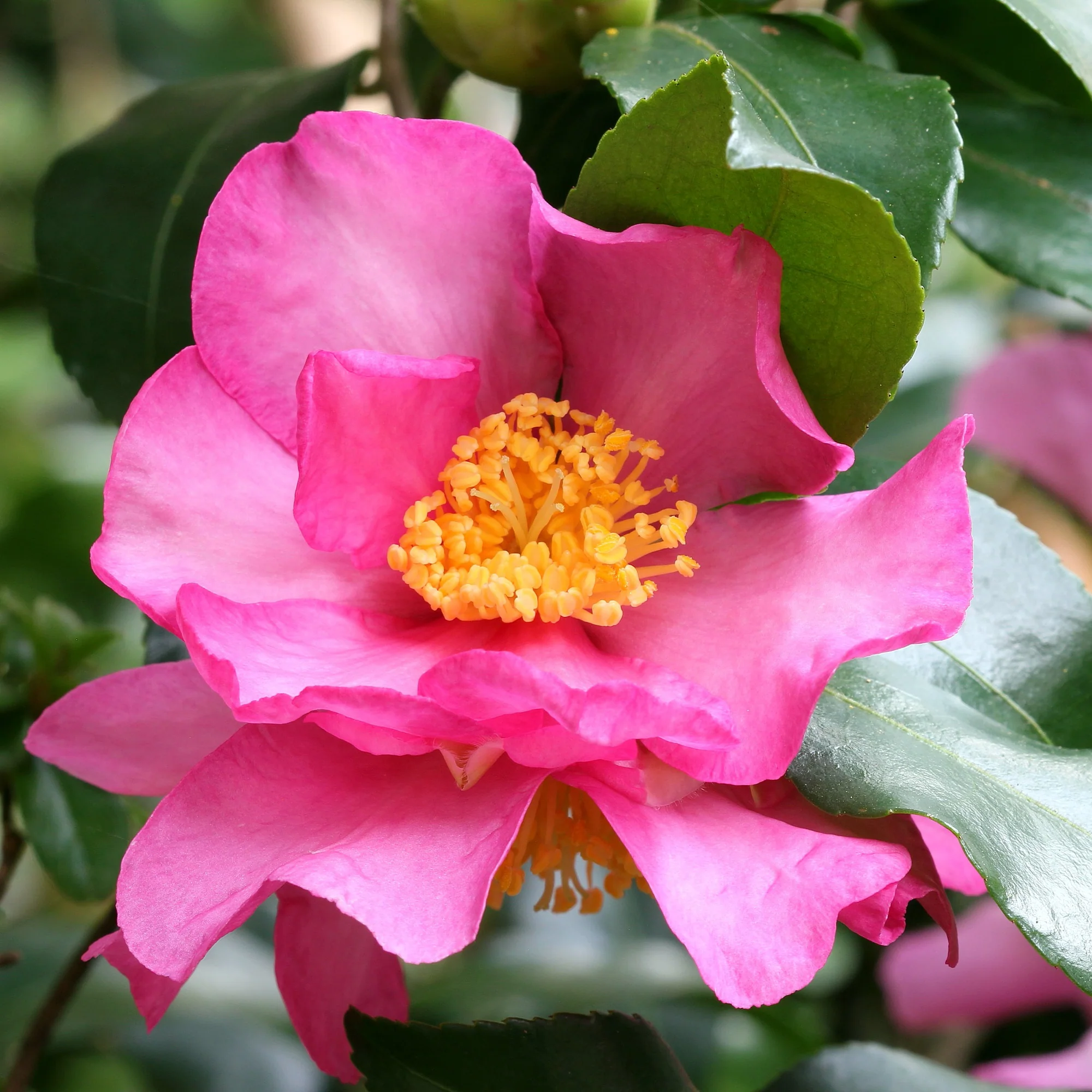 Produktbild 2