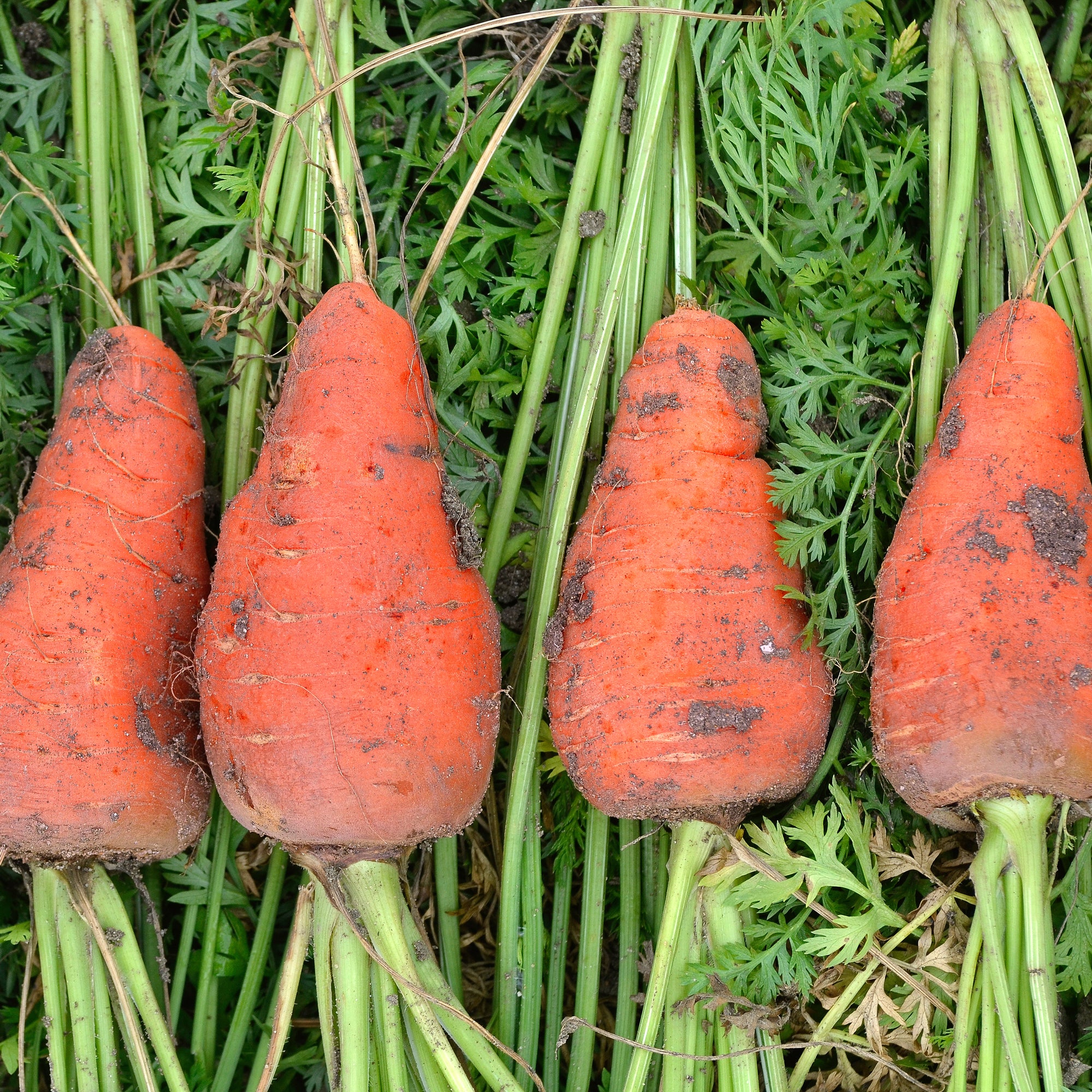 Produktbild 2