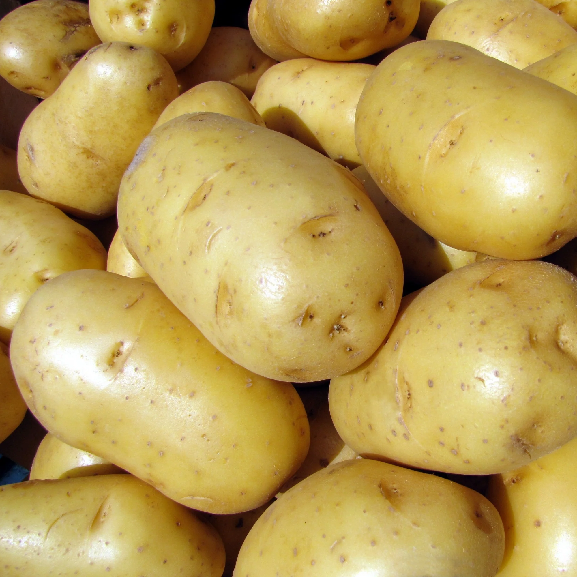 Produktbild 2