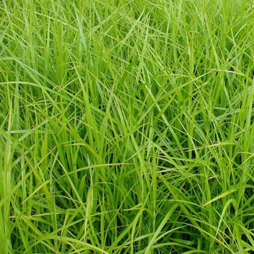 Produktbild 3