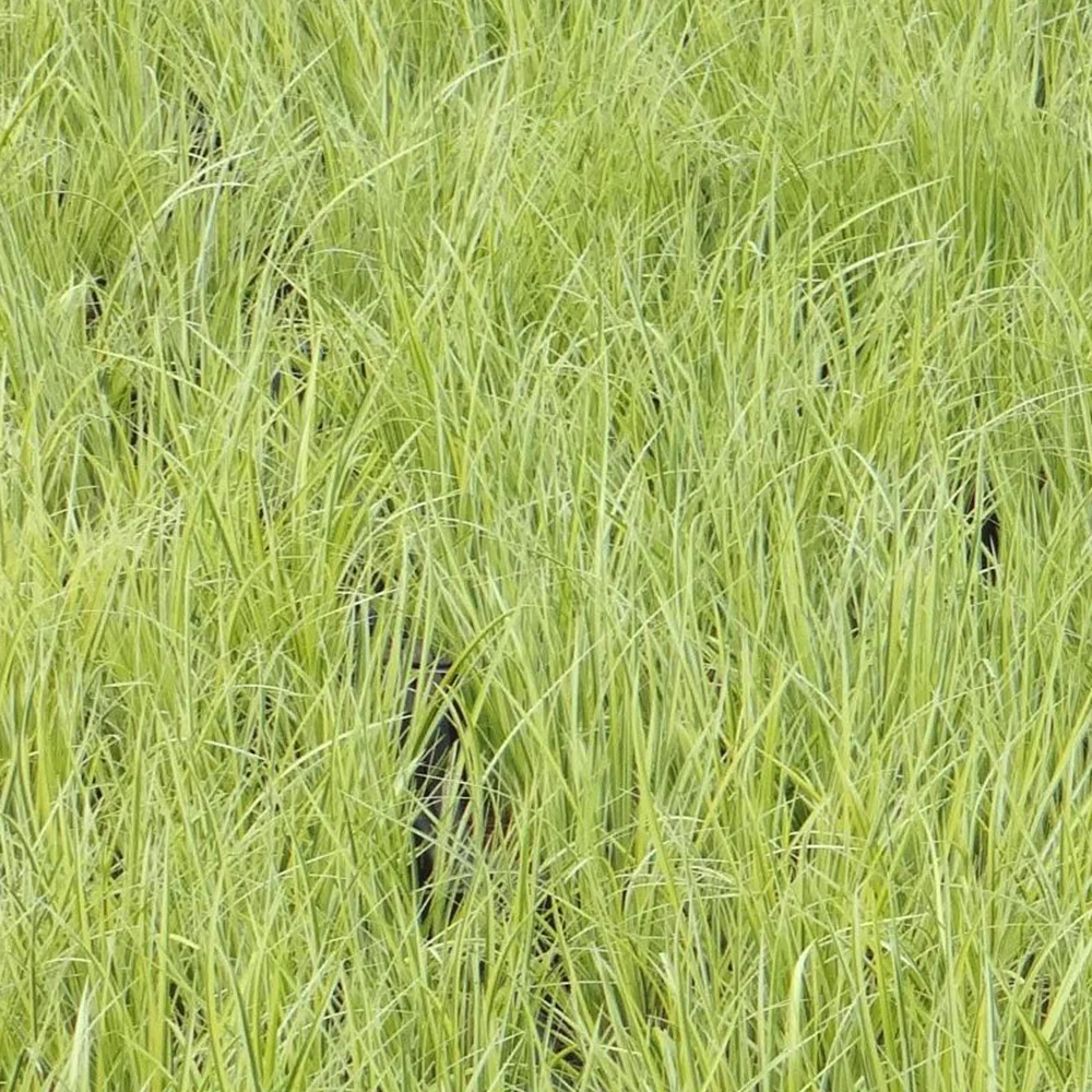 Produktbild 7