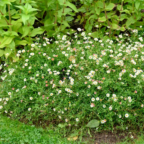 Produktbild 3
