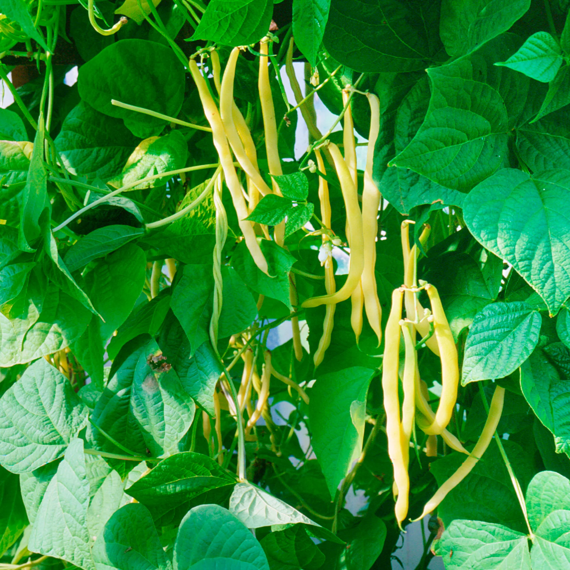 Produktbild 2