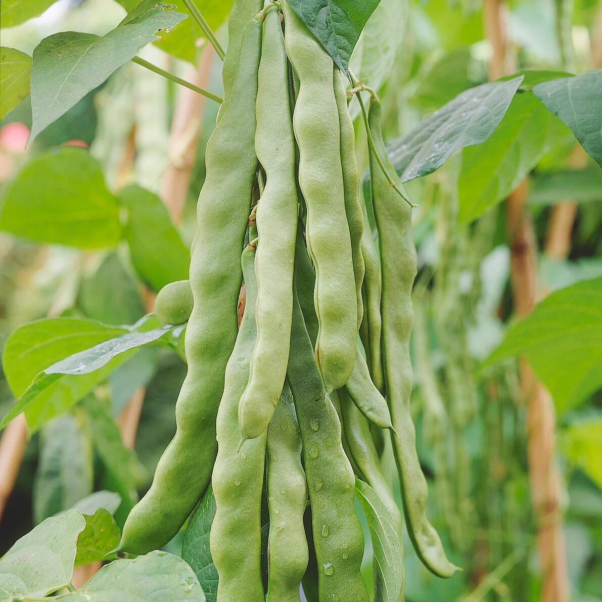 Produktbild 2