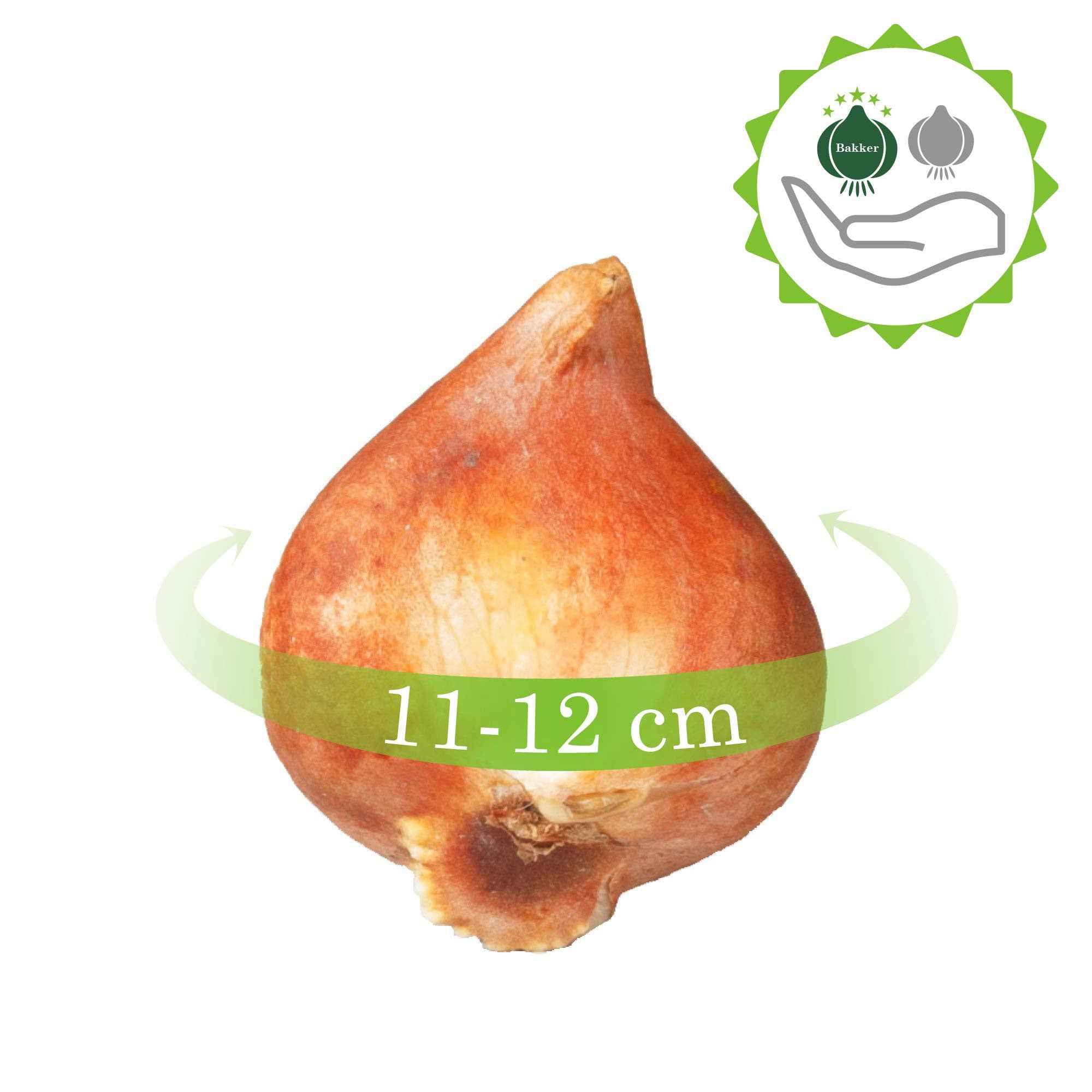 Produktbild 8