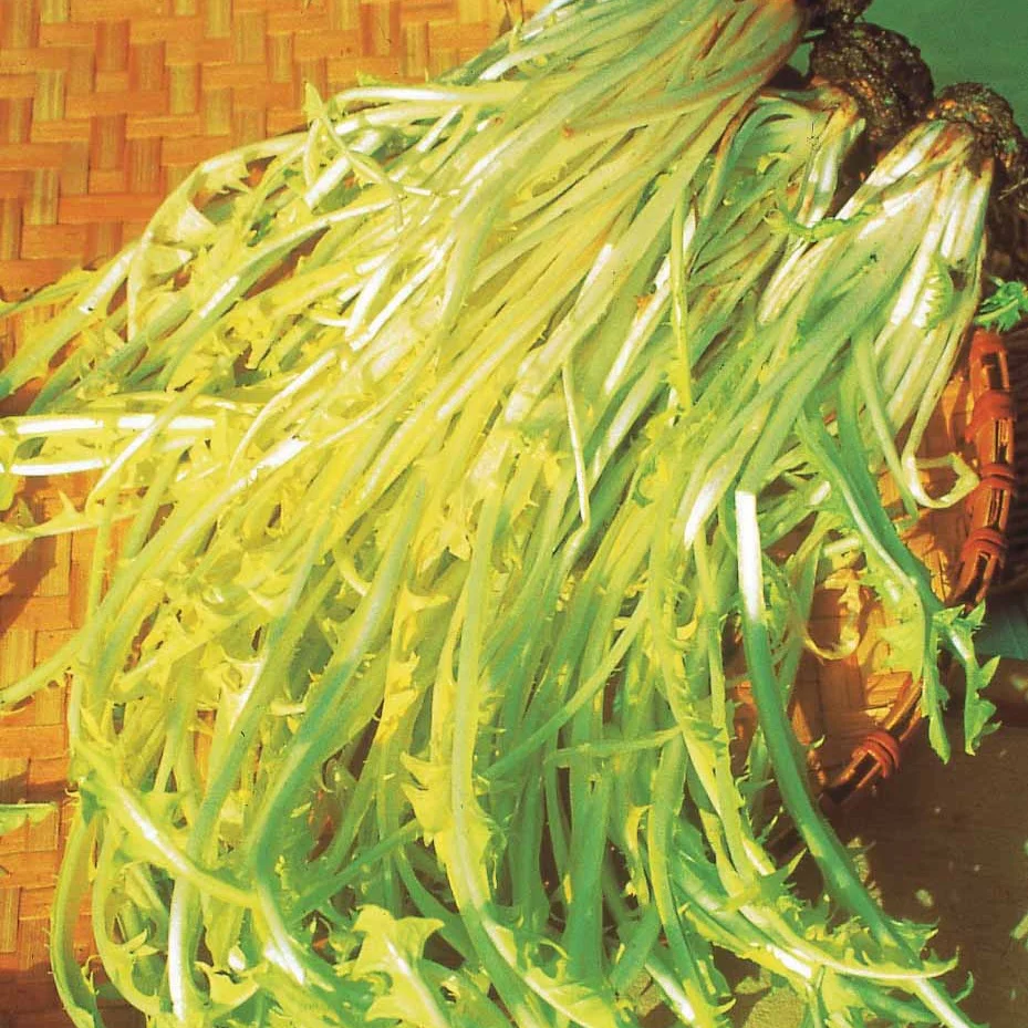 Produktbild 3