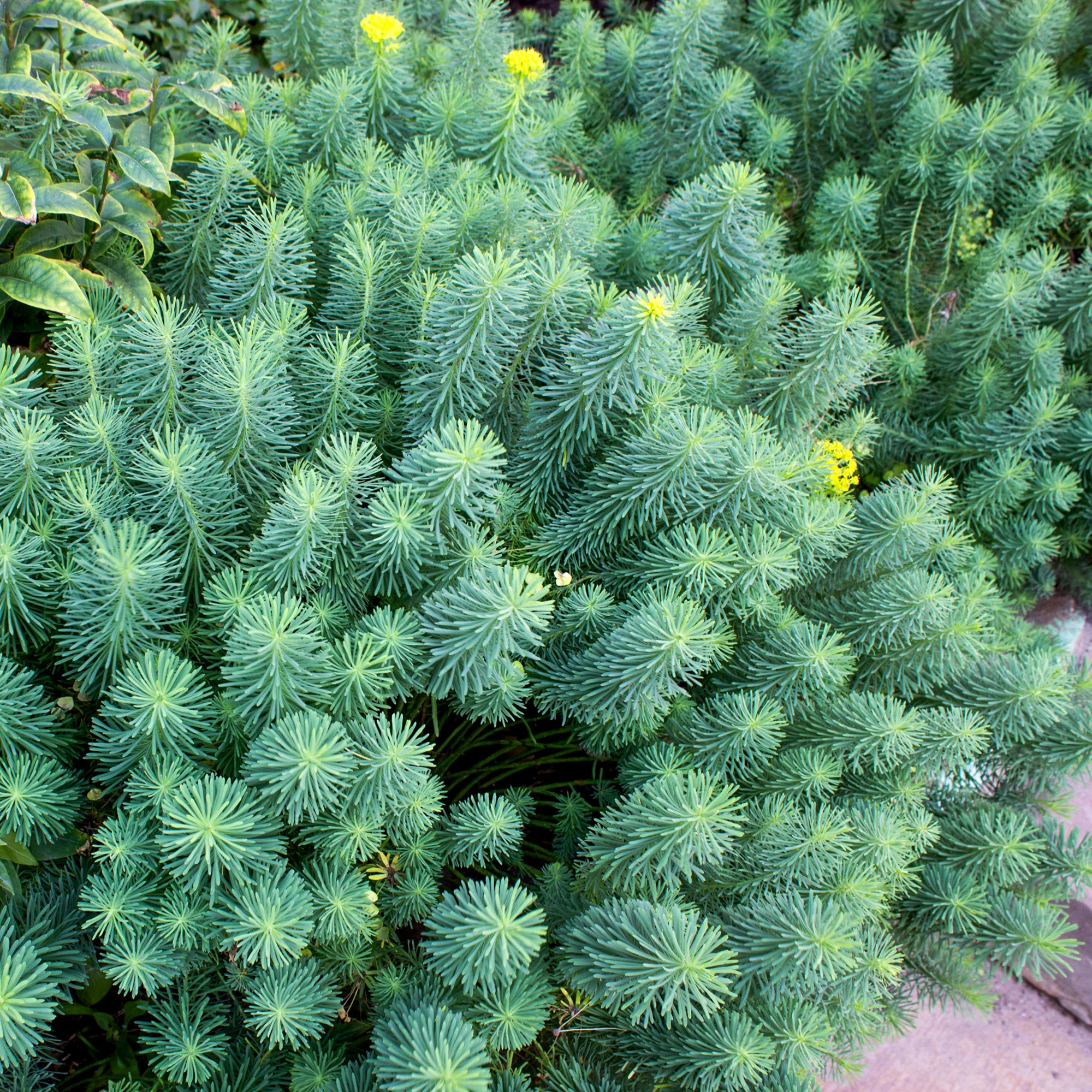 Produktbild 3
